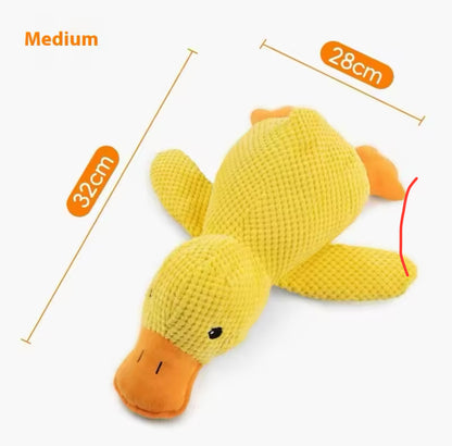 Quack, Squeak, Play – Plush Duck Dog Toy!
