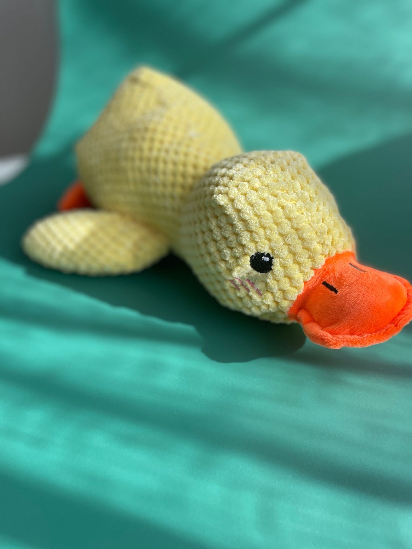 Quack, Squeak, Play – Plush Duck Dog Toy!
