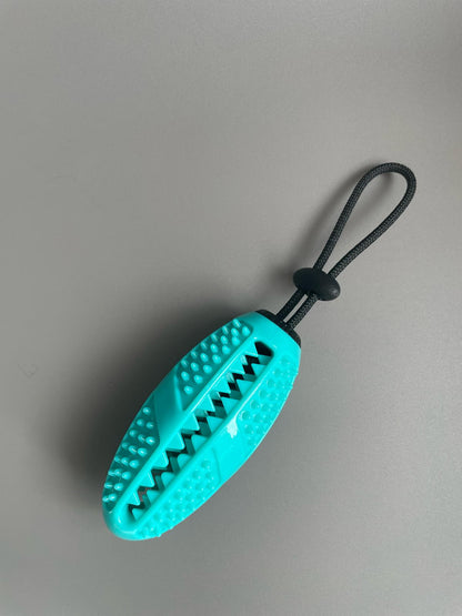 Interactive Chew & Brush Toy