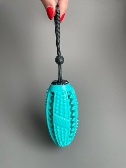 Interactive Chew & Brush Toy
